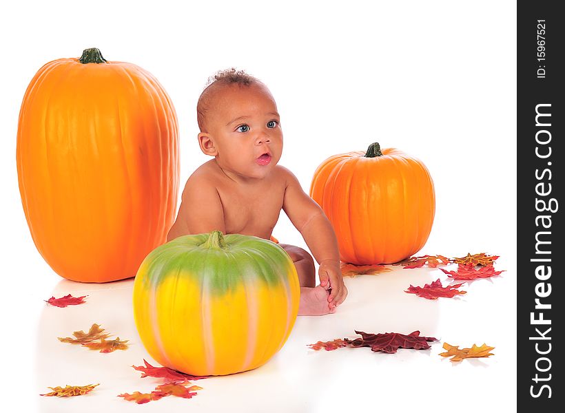 An adorable biracial baby among pumpkins and autumn leaves.  Isolated on white. An adorable biracial baby among pumpkins and autumn leaves.  Isolated on white.