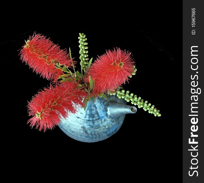 Bright red bottlebrush (callistemon) bouquet in black and silver ceramic vase; this flower is endemic to Australia; black background. Bright red bottlebrush (callistemon) bouquet in black and silver ceramic vase; this flower is endemic to Australia; black background