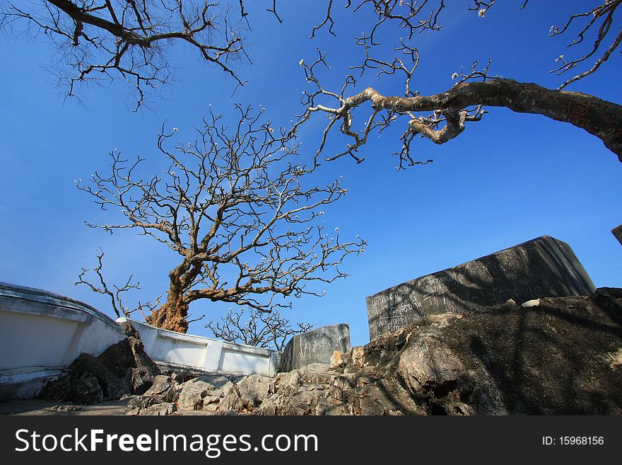 Fortress with tree in autumn. Fortress with tree in autumn