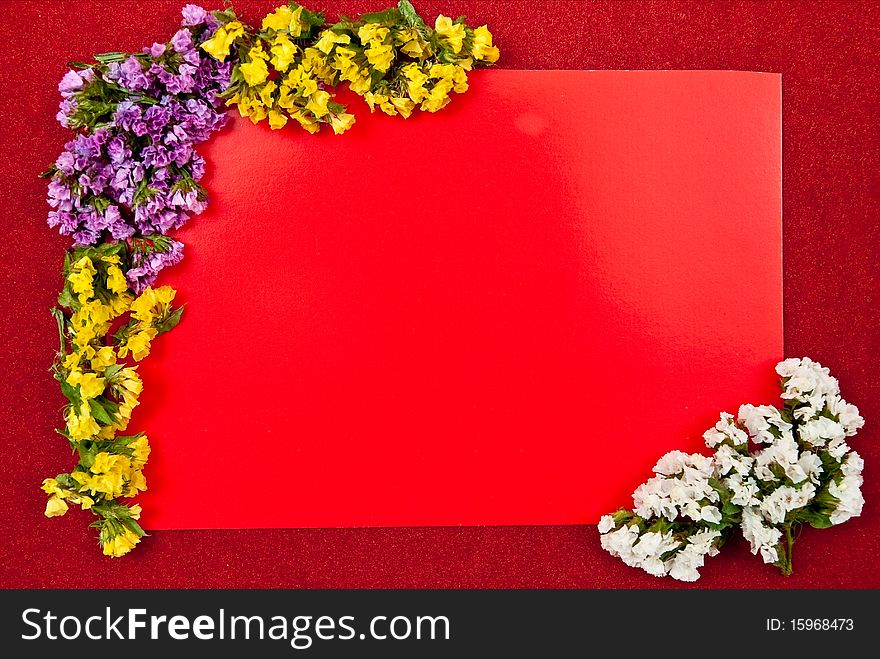 A blank card with fresh flowers. Red background. A blank card with fresh flowers. Red background