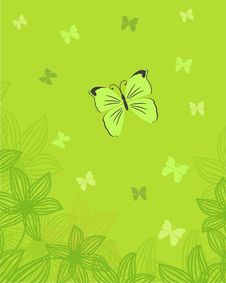 Floral Card With Butterfly Stock Photo Floral Card With Butterfly Stock Photo