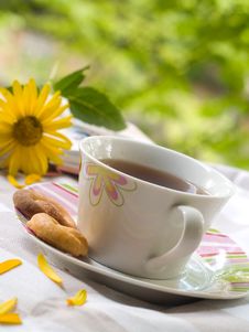 Tea With Cookies Royalty Free Stock Images