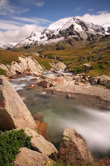 Torrent Free Stock Photos Stockfreeimages