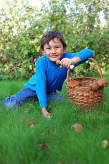Little Boy With Mushrooms Stock Photography Little Boy With Mushrooms Stock Photography