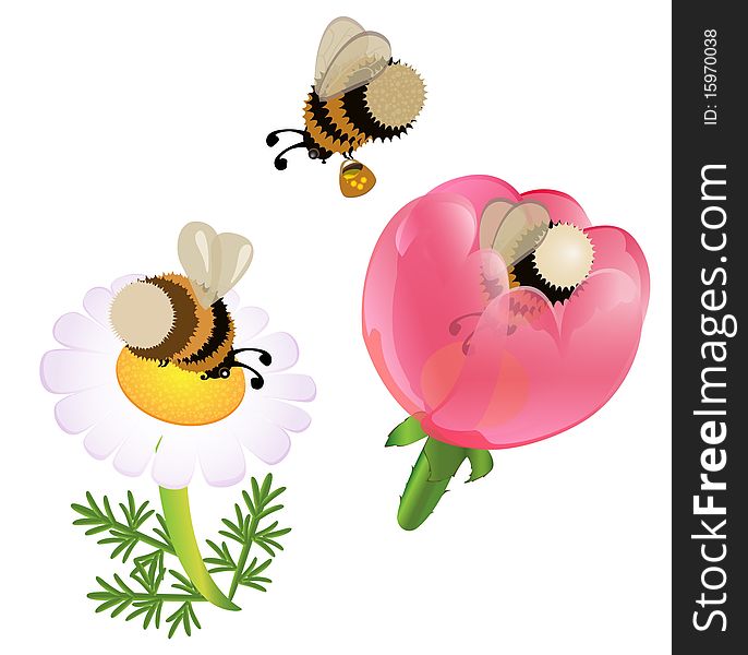 Vector Cartoon Bumblebees