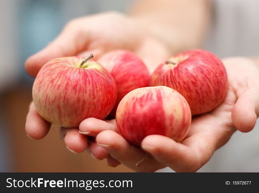 Four fruit in hands on smoothness background. Four fruit in hands on smoothness background.