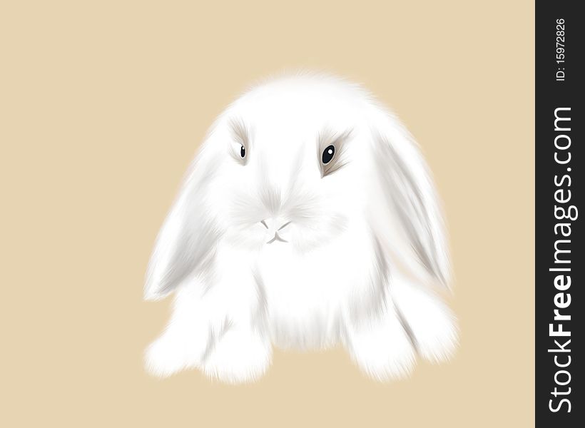 Hand drawn cute rabbit, white furry rabbit