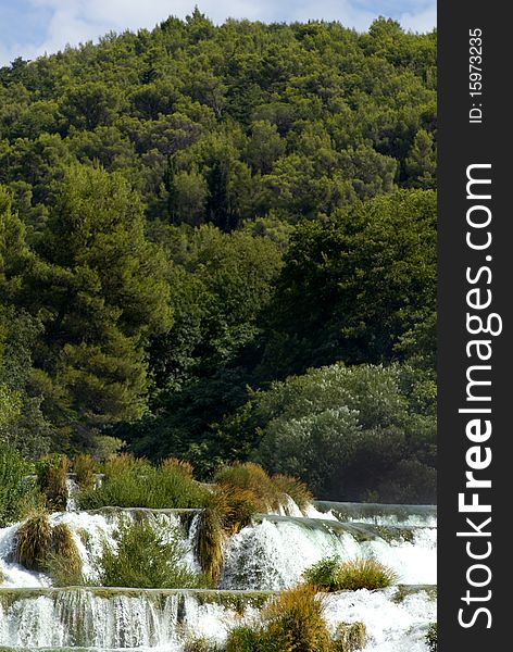 Waterfall And  Forest