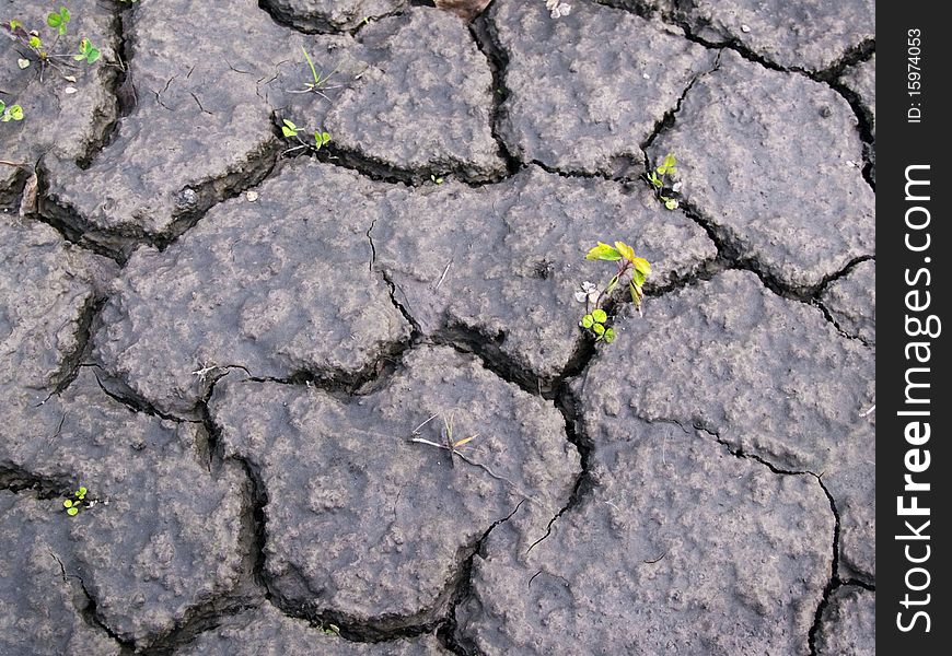 Abnormal heat, drought and crop failure in Russia