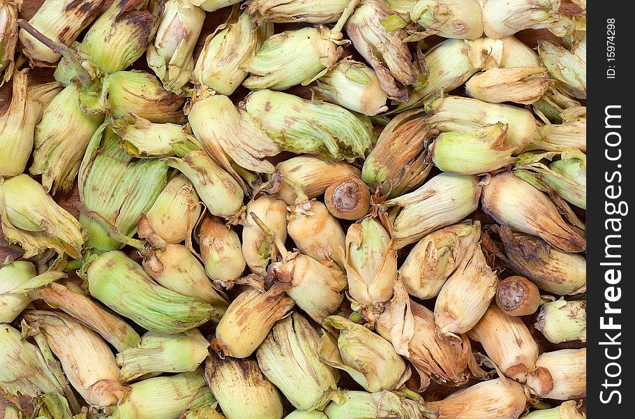 A natural background of hazelnuts, also known as cobnuts or filberts. Variety is Kent Cob. A natural background of hazelnuts, also known as cobnuts or filberts. Variety is Kent Cob.
