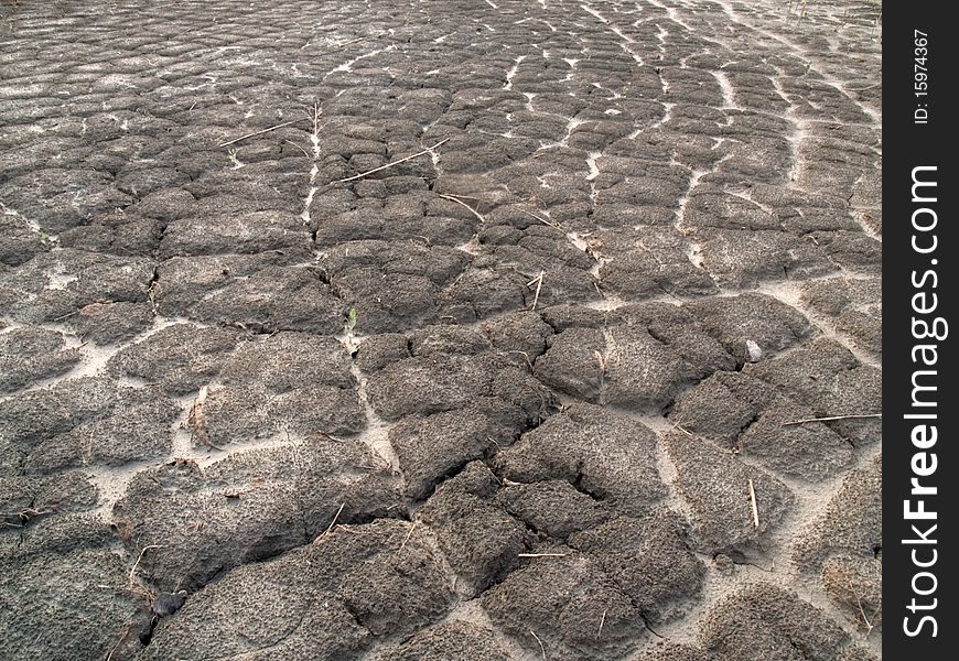 Abnormal heat, drought and crop failure in Russia