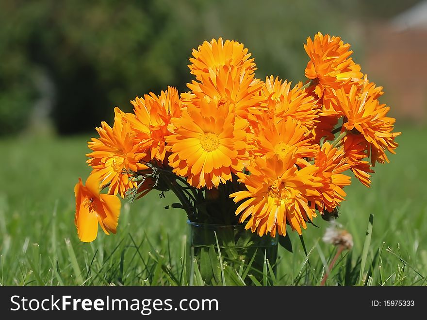 Bouquet Of Yellow Nails