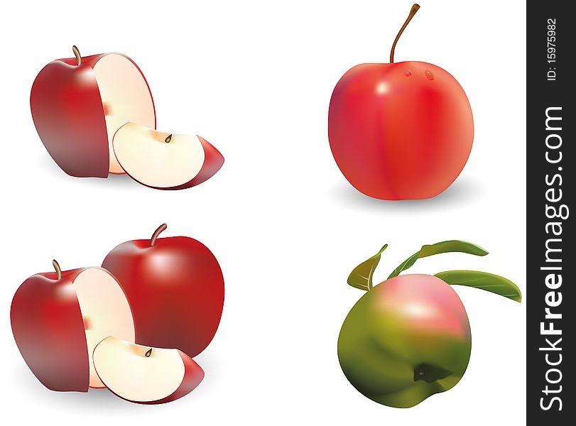 Four realistic images of apples. Vector image.