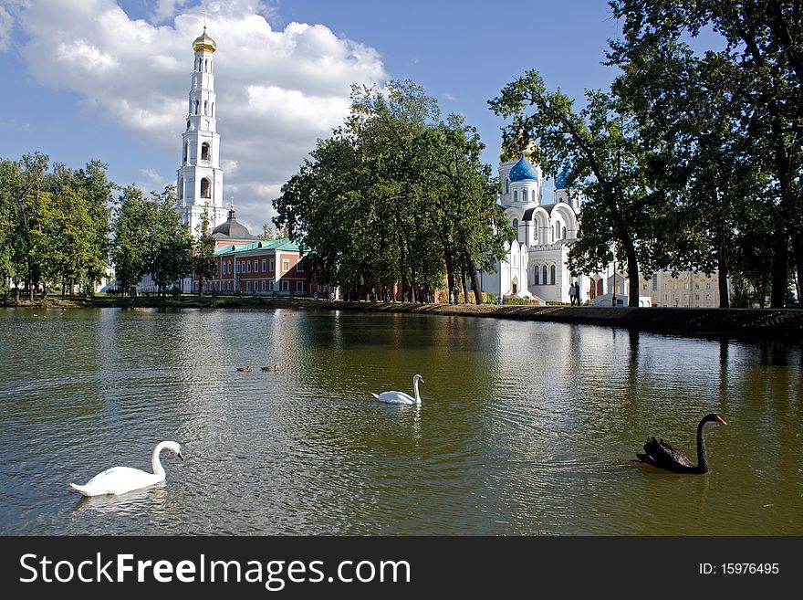 Swans At A Monastery