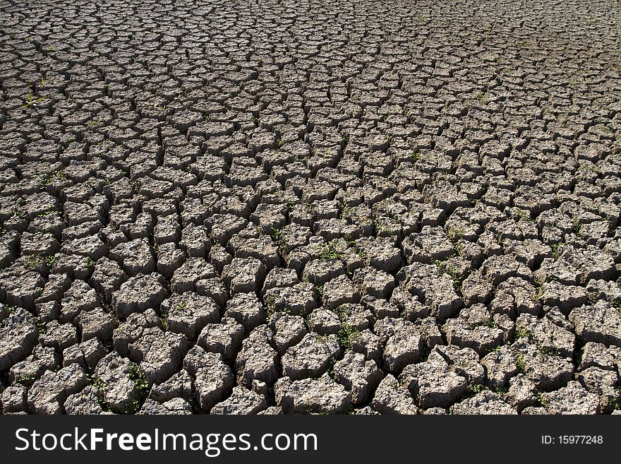 Dry soil with crack with plants, as background.