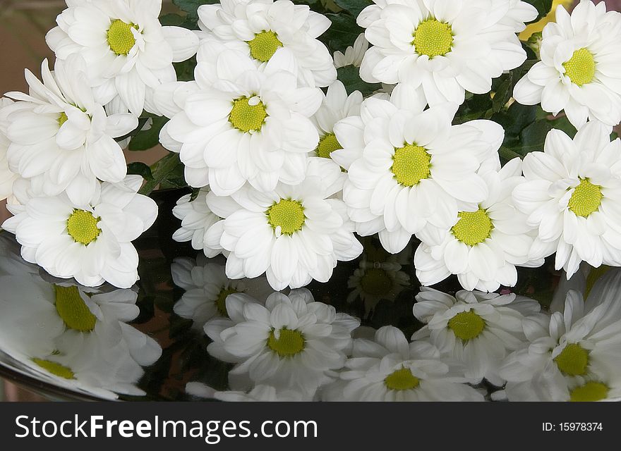 Bouquet of white chrysanthemums with reflection in a black background