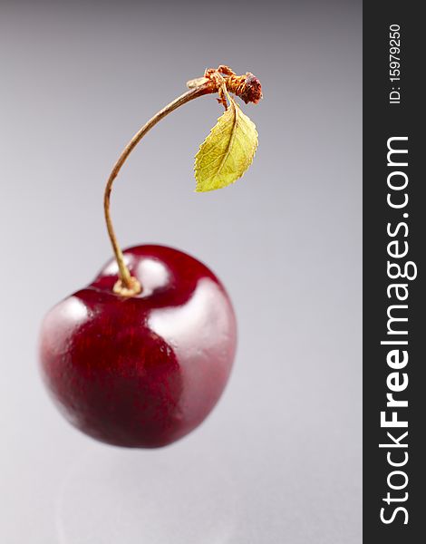 A red cherry with stem and leaf, focus on the leaf. . A red cherry with stem and leaf, focus on the leaf.