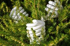 Energy Saving Lightbulb Royalty Free Stock Photography Energy Saving Lightbulb Royalty Free Stock Photography