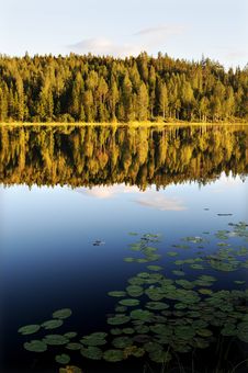 Water Lake Mirror Stock Images Water Lake Mirror Stock Images