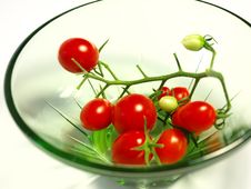 Cluster Of Cherry Tomatoes In A Small Plate Royalty Free Stock Image Cluster Of Cherry Tomatoes In A Small Plate Royalty Free Stock Image