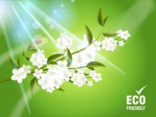 Environmental Concept Royalty Free Stock Photo Environmental Concept Royalty Free Stock Photo