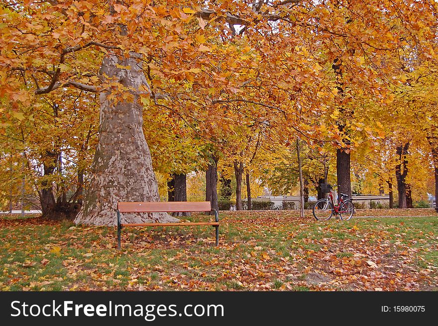 Golden autumn in Prater park, Austria