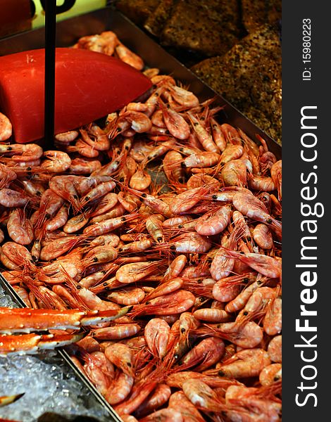 Fresh Shrimps In A Fish Market