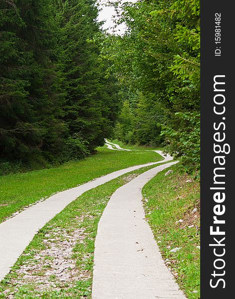 Beautiful country road that runs along a forest in the mountains of Trentino