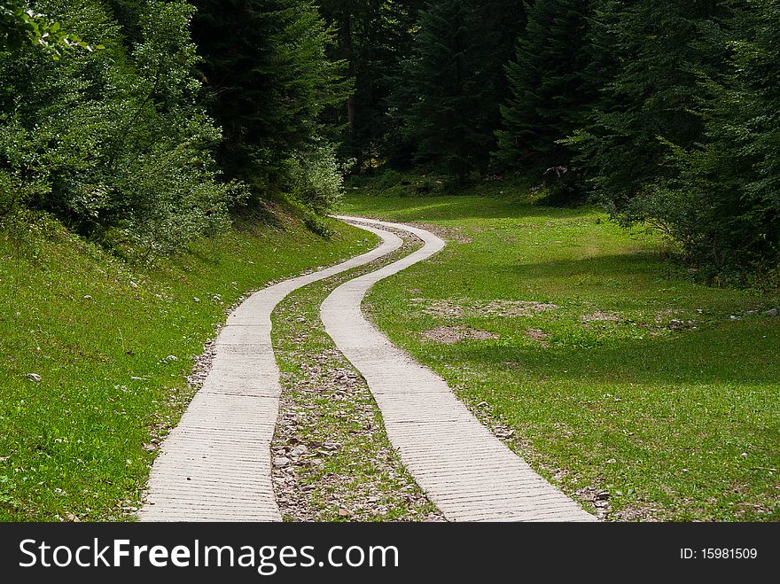 Beautiful country road that runs along a forest in the mountains of Trentino