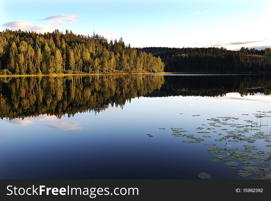 Water lake mirroring trees under a blue sky