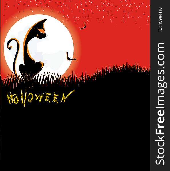 Halloween black cat in moon night. Halloween black cat in moon night