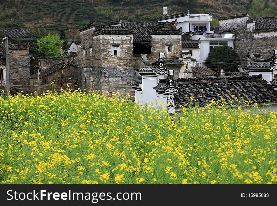 Chinese Style building in the village