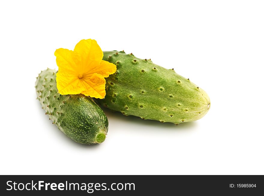 Two cucumber isolated on white