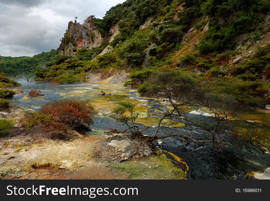 Hot Stream with mineral sediments, Waimangu Volcanic Valley, Rotorua, New Zealand