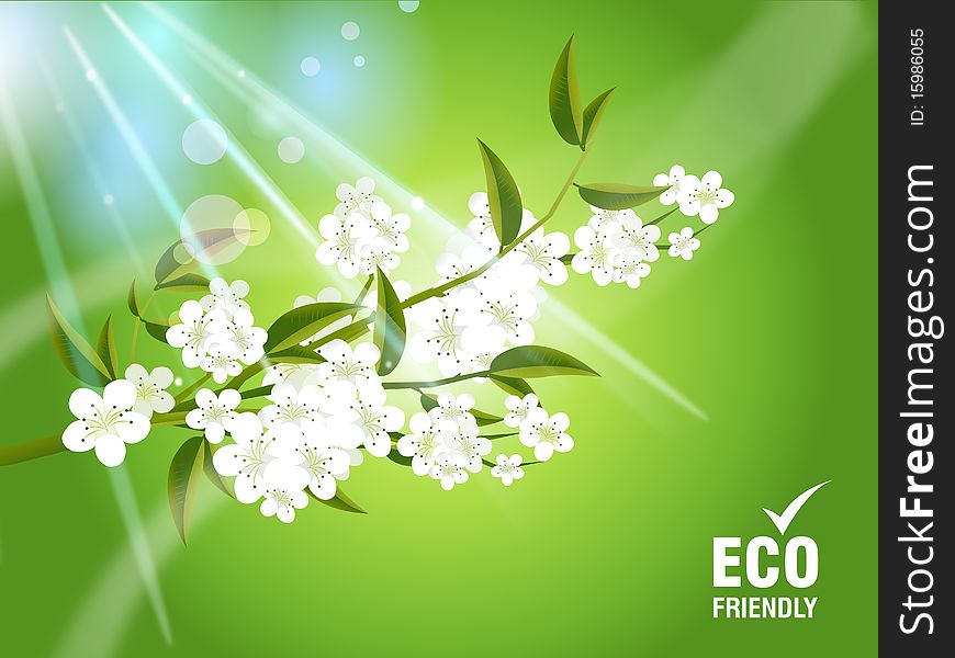 Environmental and Ecology concept  background . Environmental and Ecology concept  background .