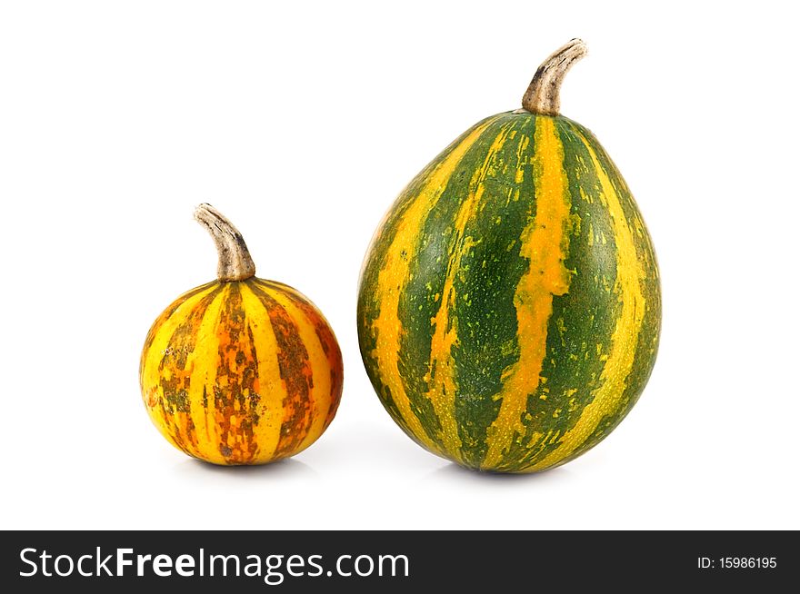 Two pumpkin isolated on white