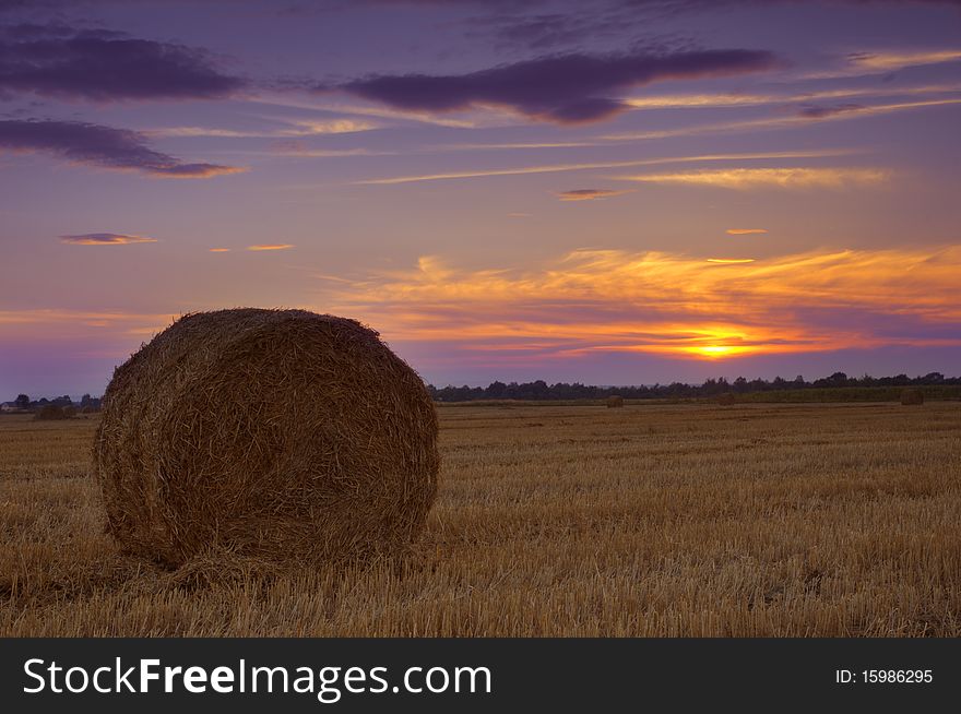 Straw bale on field on sunset time