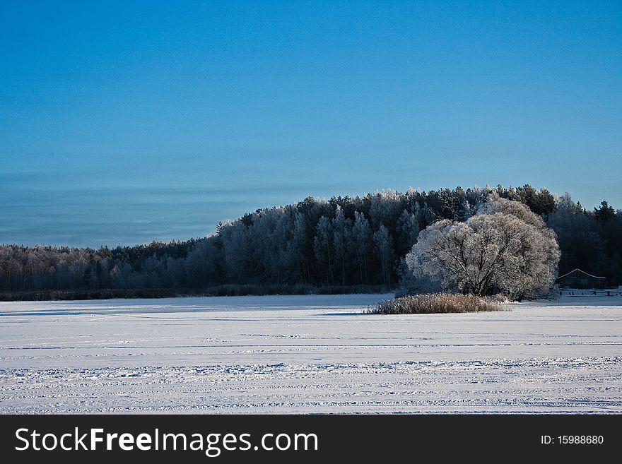 Winter landskape with blue sky and white tree. Winter landskape with blue sky and white tree