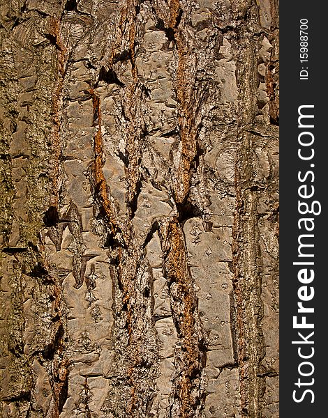 Old wood texture horizontal close up