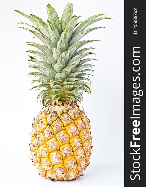 Pineapple standing on white background.