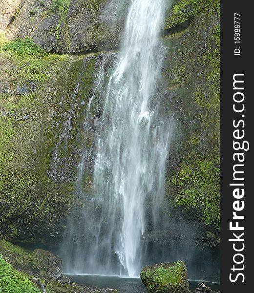 High waterfall falling from green cliff