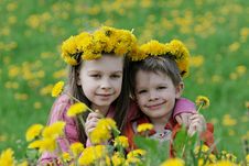 Brother And Sister With Dandelion Garlands Stock Image Brother And Sister With Dandelion Garlands Stock Image