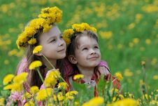 Brother And Sister With Dandelion Garlands Stock Photography Brother And Sister With Dandelion Garlands Stock Photography
