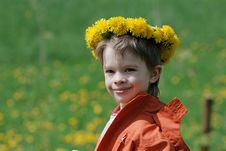 Boy In Dandelion Meadow. Stock Photography Boy In Dandelion Meadow. Stock Photography