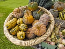 Organic Squash At Farmers Market Royalty Free Stock Image Organic Squash At Farmers Market Royalty Free Stock Image