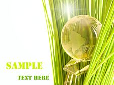 Glass Globe In Fresh Green Grass. Royalty Free Stock Photo Glass Globe In Fresh Green Grass. Royalty Free Stock Photo