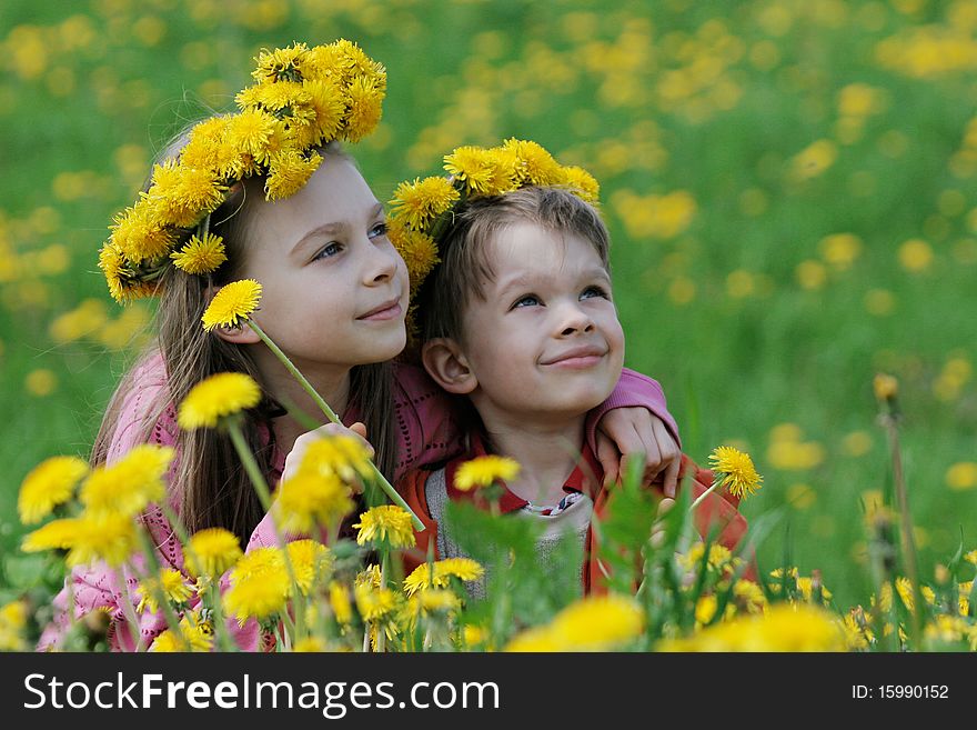 Brother and sister enjoy summer time in the dandelion meadow. Brother and sister enjoy summer time in the dandelion meadow.