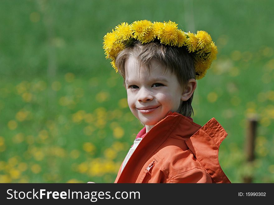 Boy in dandelion meadow.