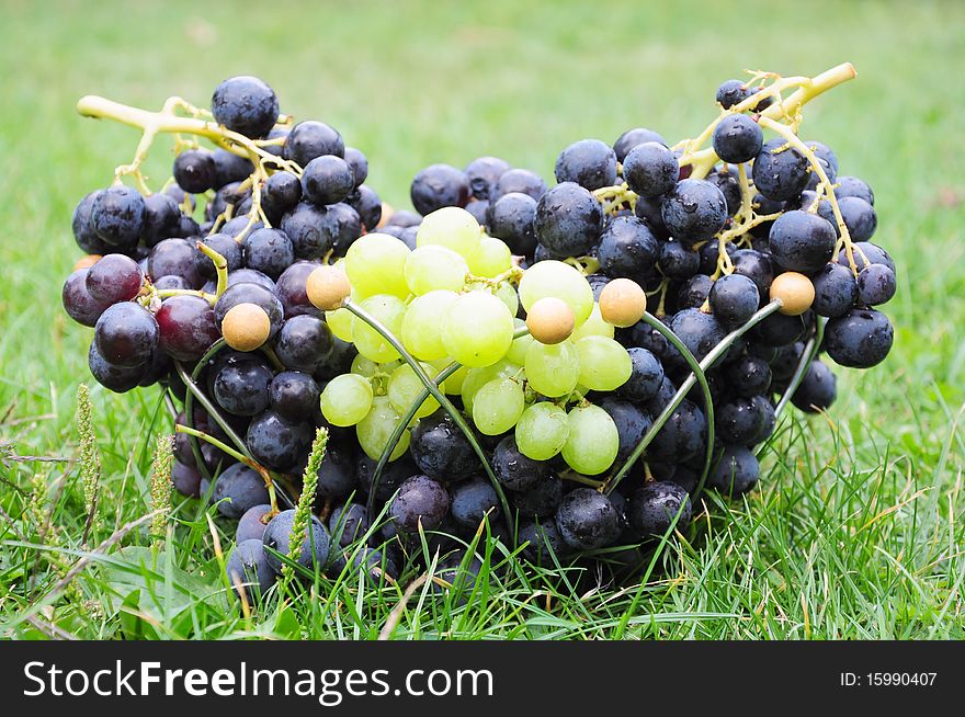 Black and white grapes on the grass