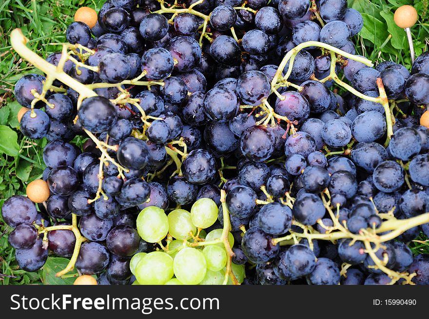 Black and white grapes on the grass